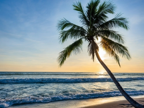 Tropical Sunset Serenity FREE Stock Photo, Caribbean,  summer,  beach picture